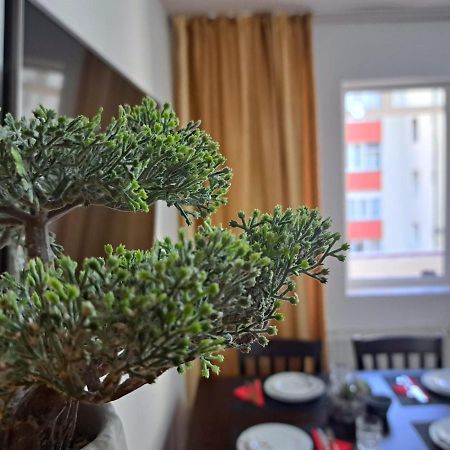 Aviliz Apartament Busteni Ngoại thất bức ảnh