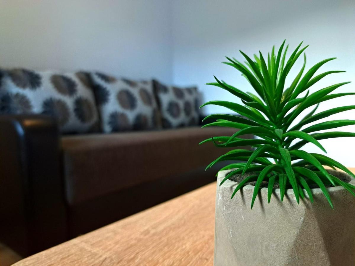 Aviliz Apartament Busteni Ngoại thất bức ảnh