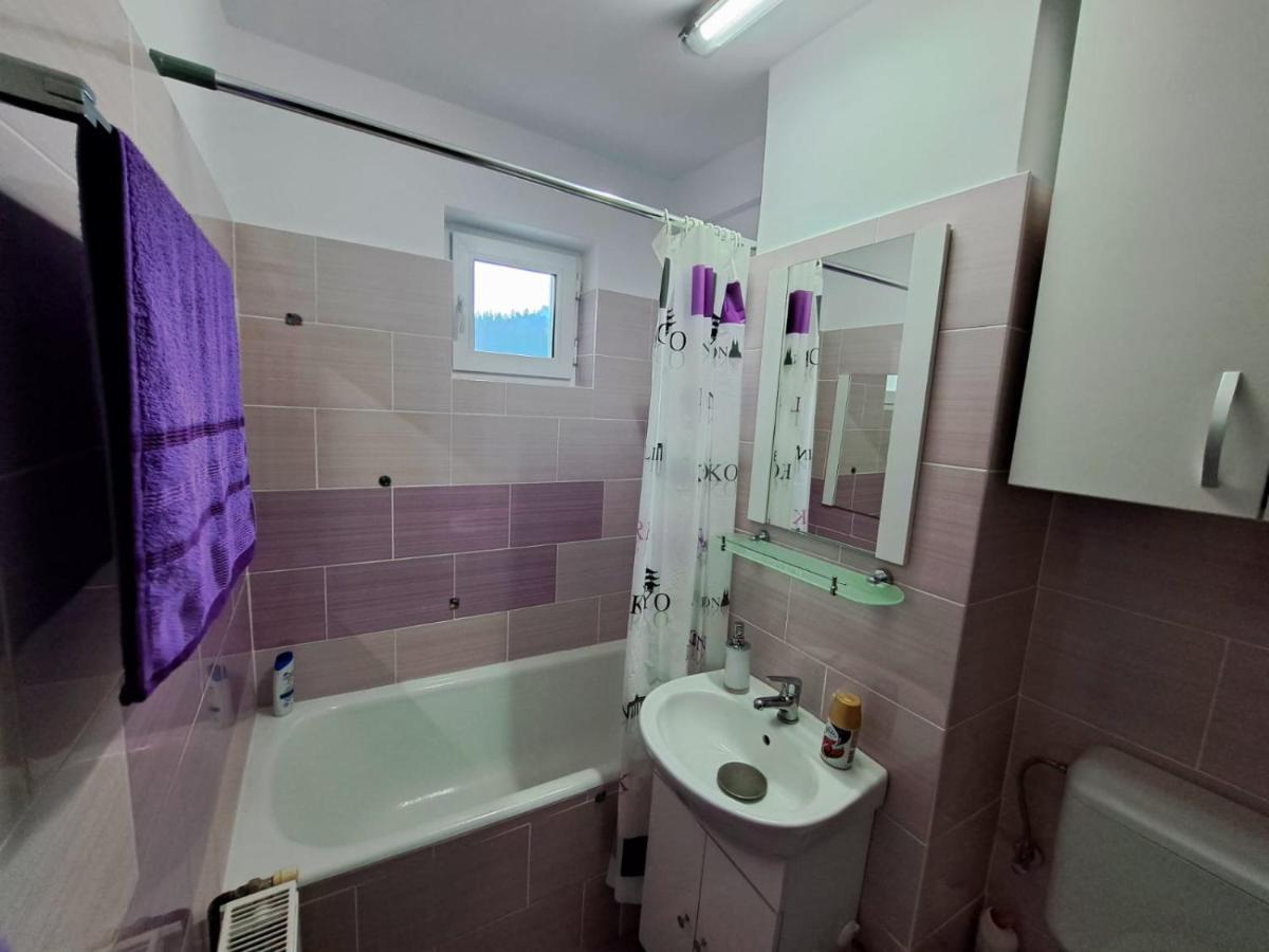 Aviliz Apartament Busteni Ngoại thất bức ảnh