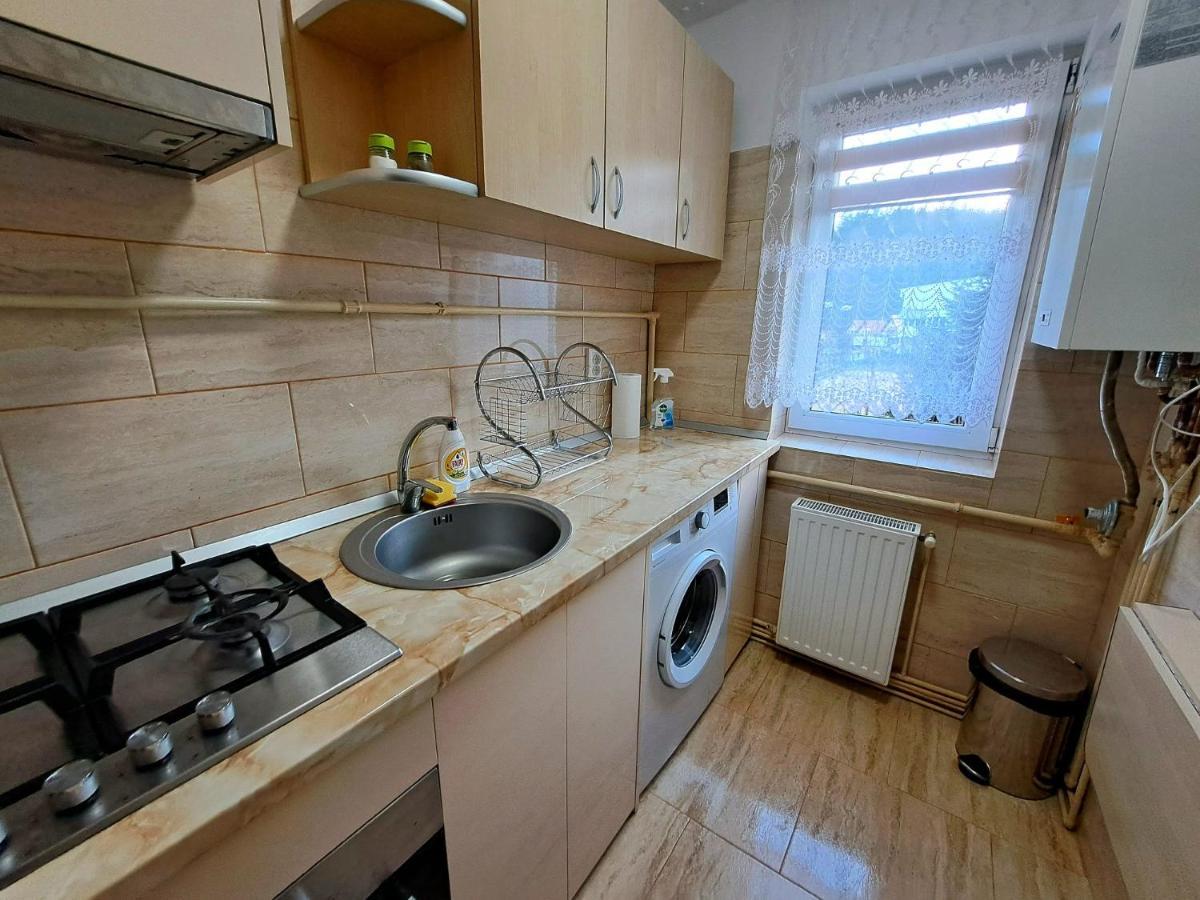 Aviliz Apartament Busteni Ngoại thất bức ảnh